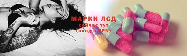 эйфоретик Вяземский
