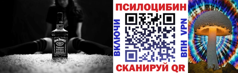 хочу наркоту  Кропоткин  Псилоцибиновые грибы Magic Shrooms 