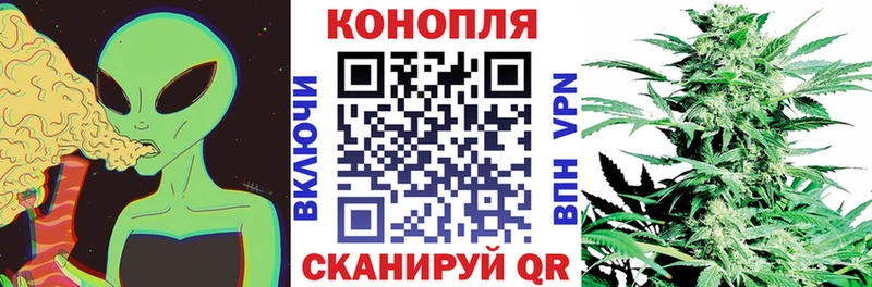 Конопля планчик  как найти закладки  Кропоткин 